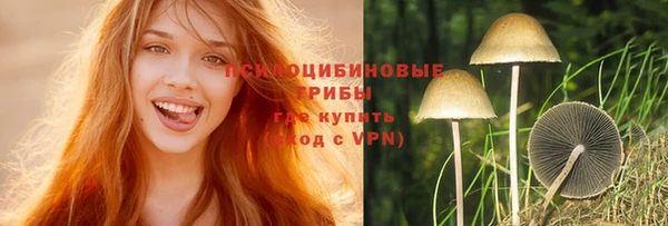 сатива Покачи