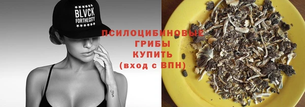 сатива Покачи