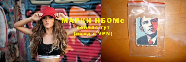 сатива Покачи
