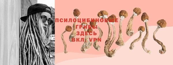 винт Покров