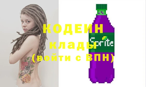 сатива Покачи