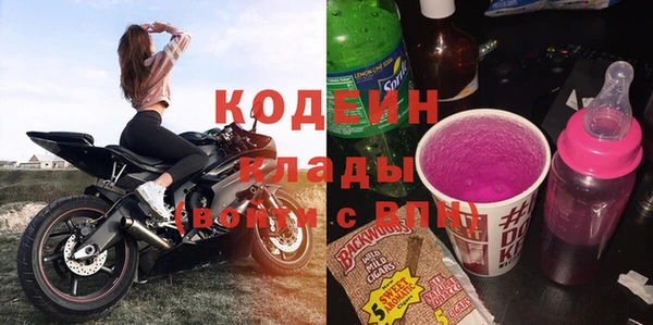 сатива Покачи