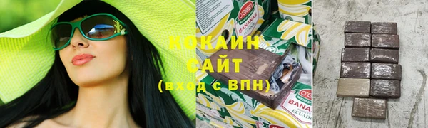 гидра Покровск