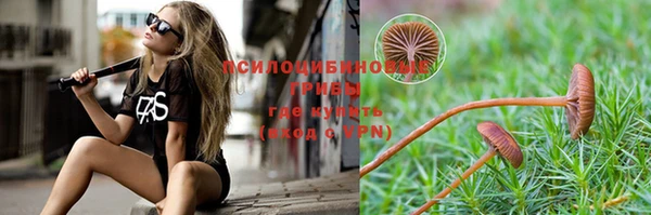 крисы Переславль-Залесский