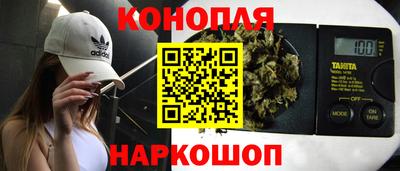 мдпв Гай