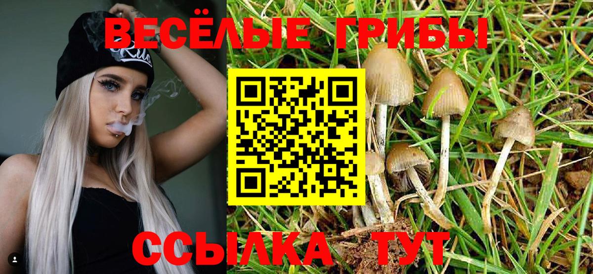 хочу наркоту  Вход с VPN  Алексеевка  Псилоцибиновые грибы MAGIC MUSHROOMS 
